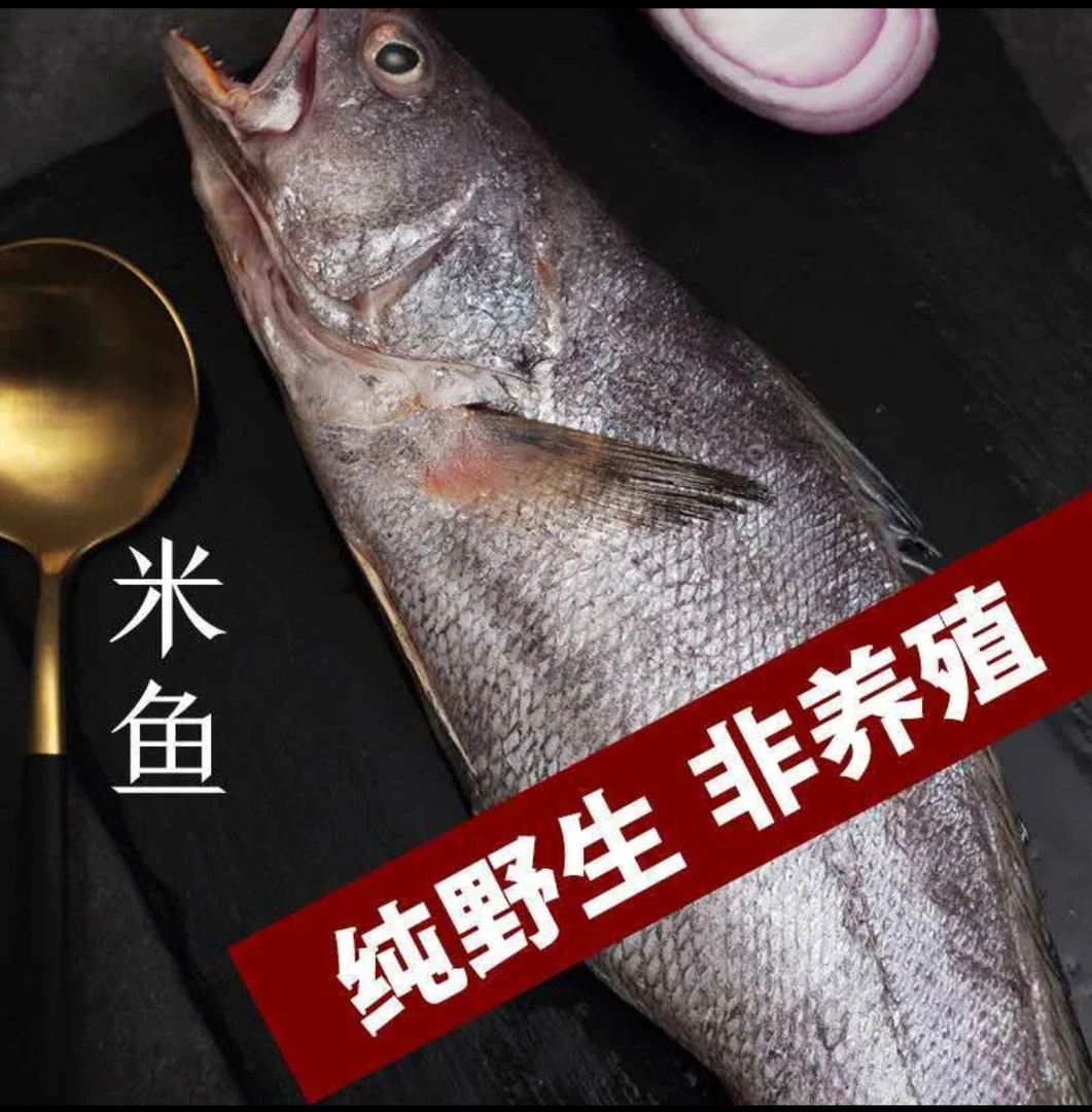 舟山海鲜 新鲜速冻 米鱼鮸鱼 鳌鱼 顺丰直发