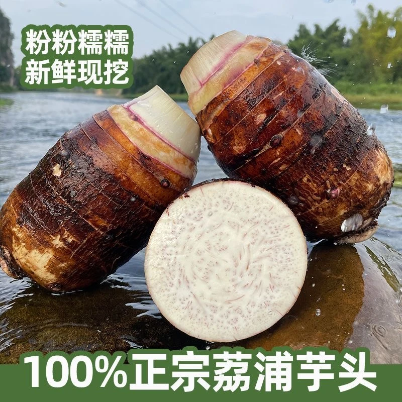 乡上荔人正宗广西荔浦芋头新鲜现挖粉糯香芋大芋头产地直发农产品