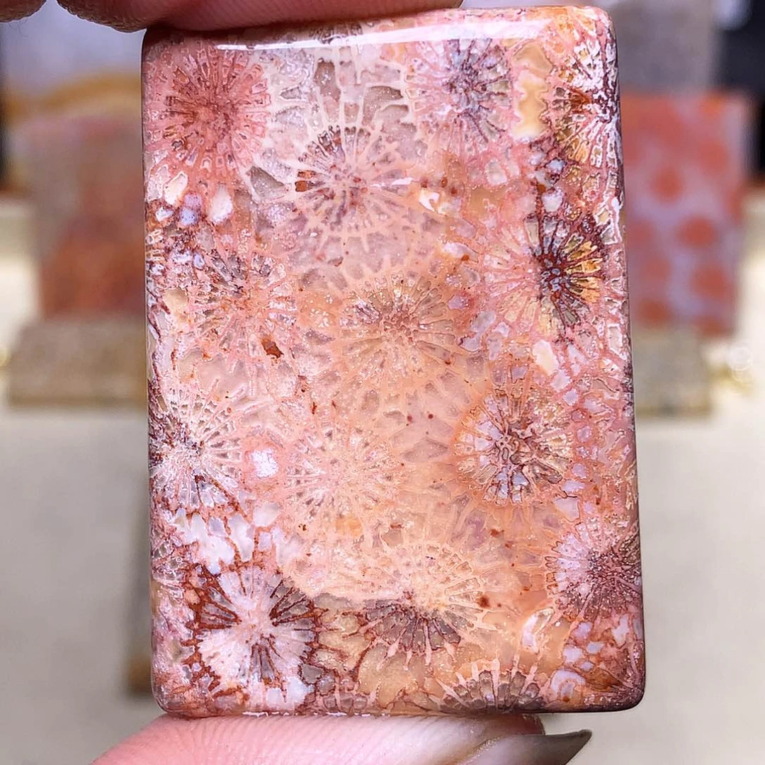 硅化玉珠宝奇石合金火*凰