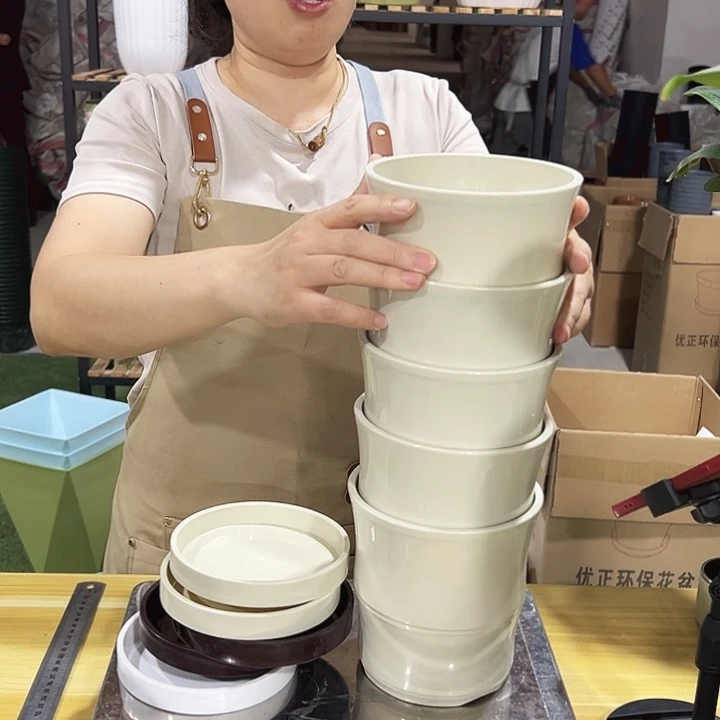 竹节口13.6高14米色带托5只