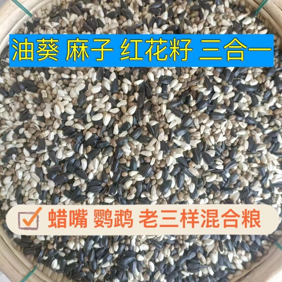 蜡嘴鹦鹉桐嘴雀老三样宠物鸟粮