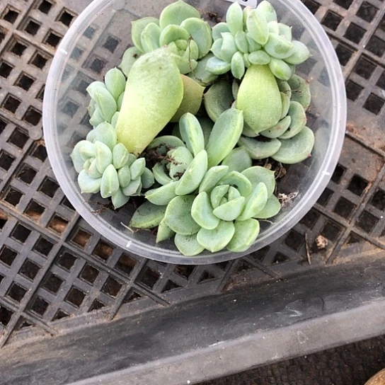 乐***锦136青允加云间饭盒