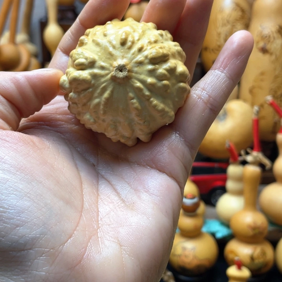 顺**水大自然的秘密第十一节你是