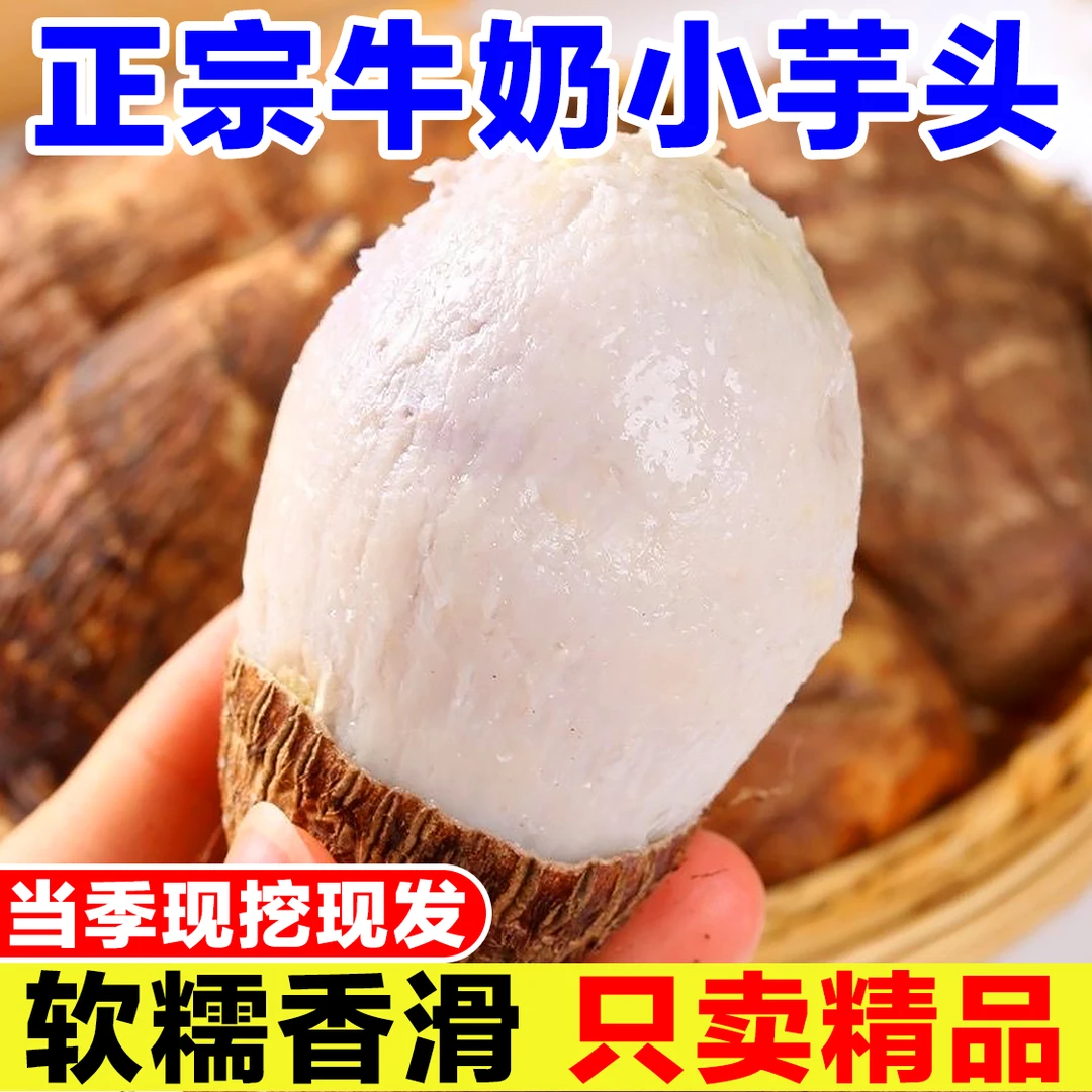 山东牛奶芋头新鲜现挖小毛软糯香滑农产品芋艿新鲜蔬菜竽头小香芋