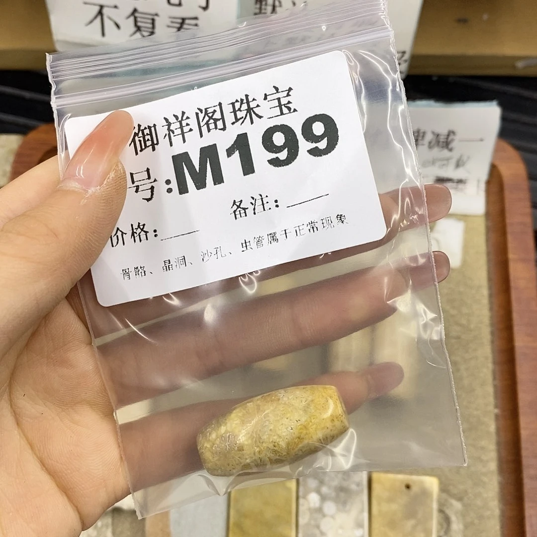 硅化珊瑚（珊瑚玉）未镶嵌颈饰㫵