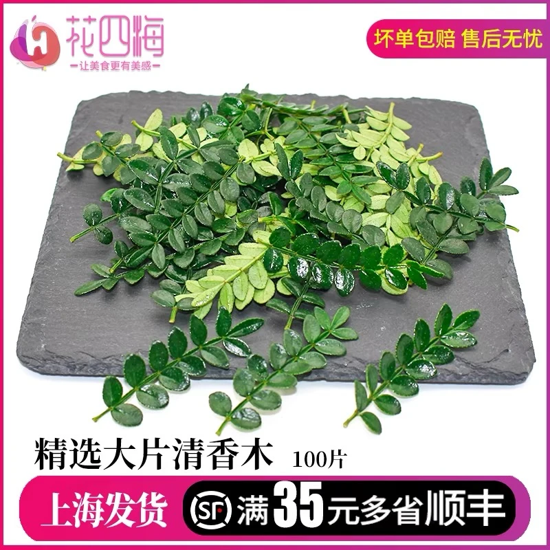 新鲜清香木胡椒木叶子日料西餐烘焙调酒蛋糕酒店婚宴宴会摆盘装饰