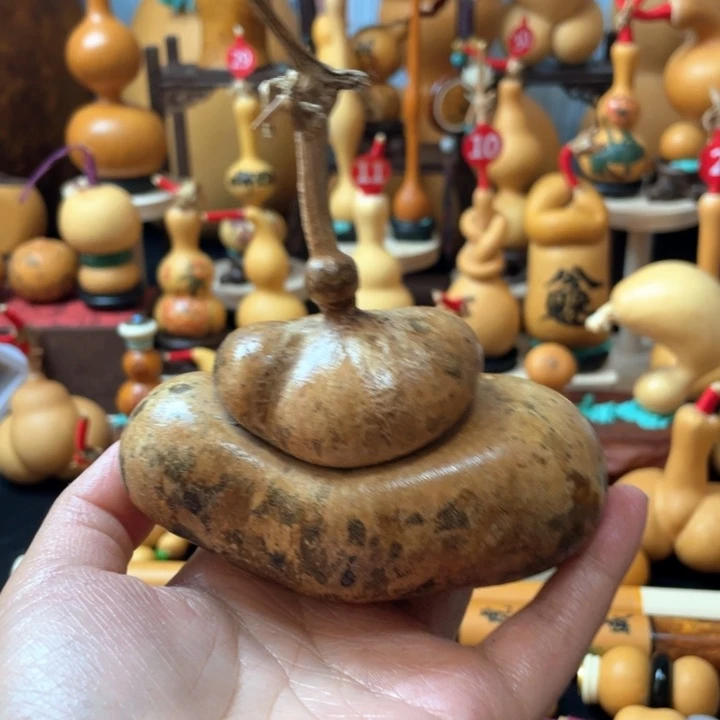 师*葫芦丝老师在讲英语听力