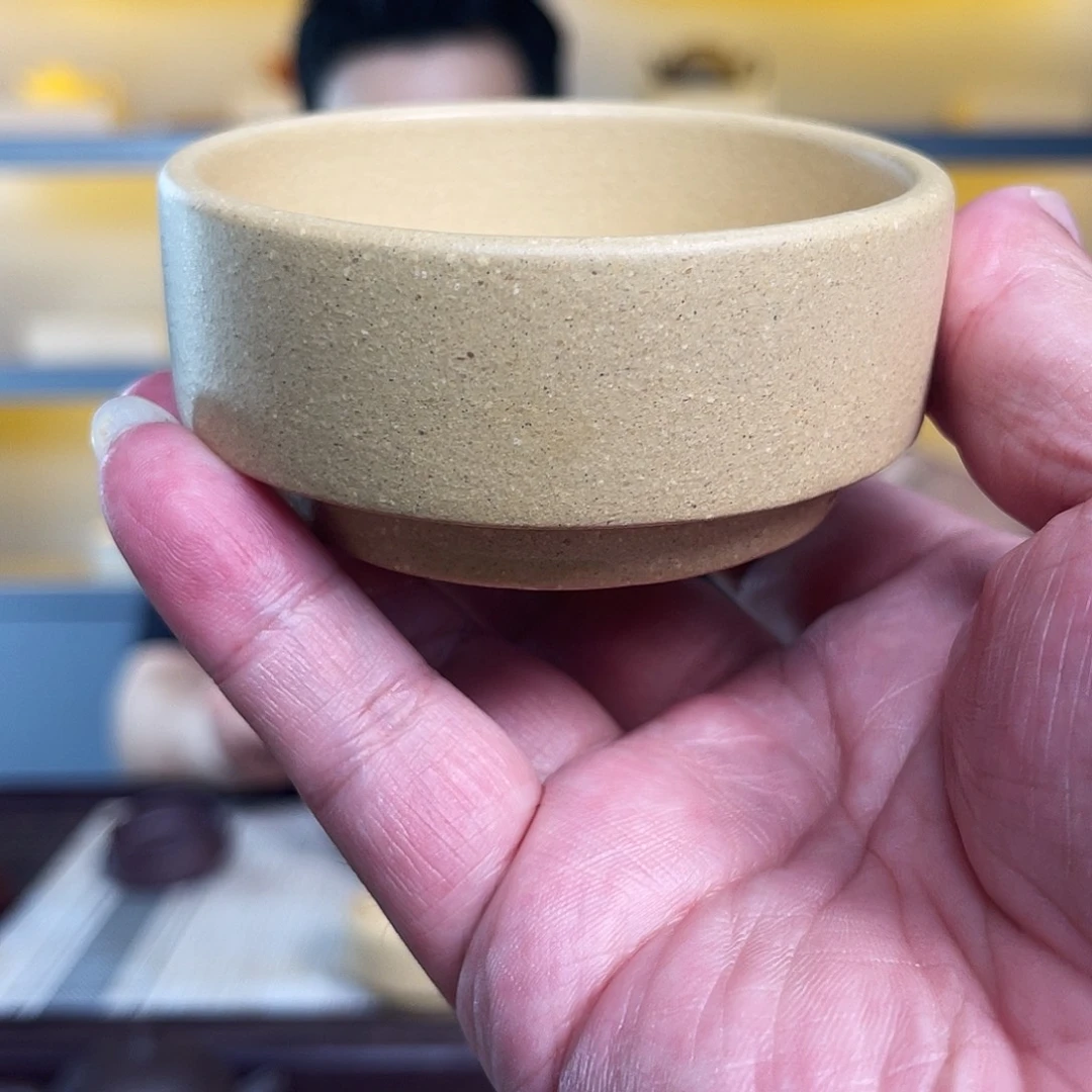 茶壶紫砂本绿普洱杯