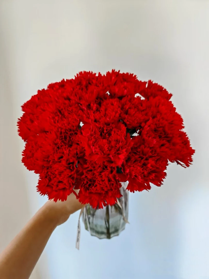 【红色康乃馨】鲜花云南基地直发办公室客厅餐桌插花鲜花花束