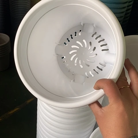 树脂四季3号6个带托白