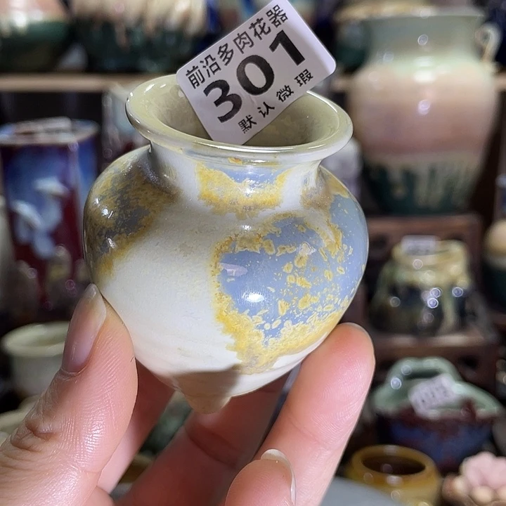 狼盆内口径3高度6