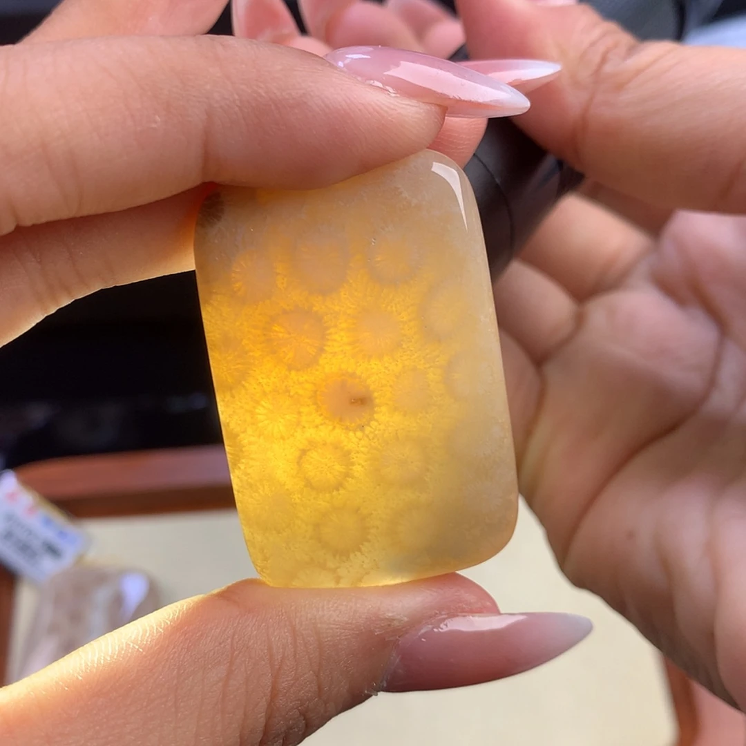 【闪购商品】硅化珊瑚（珊瑚玉）未镶嵌颈饰24号链接 30漏15 可挑选