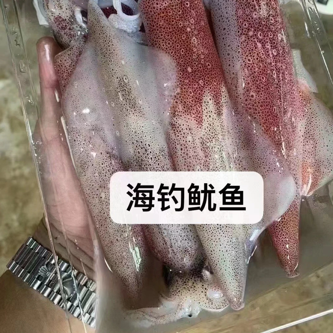 灯光渔船 海钓照灯鱿鱼 小管海兔