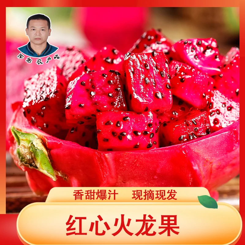 全爸农产品湛江金都一号红心火龙果新鲜现摘产地直发