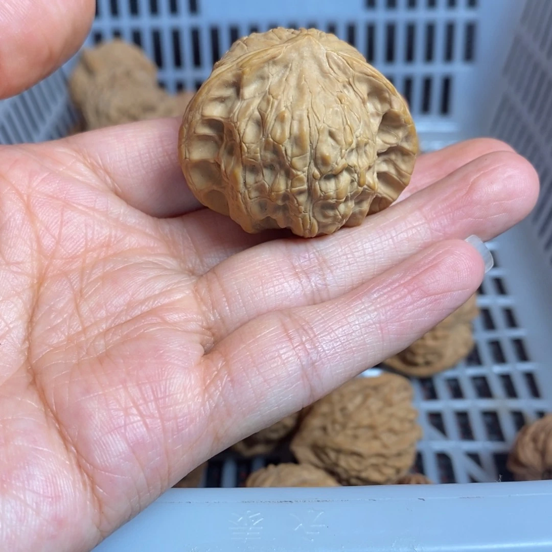 鲁***吃文玩核桃把件尺寸