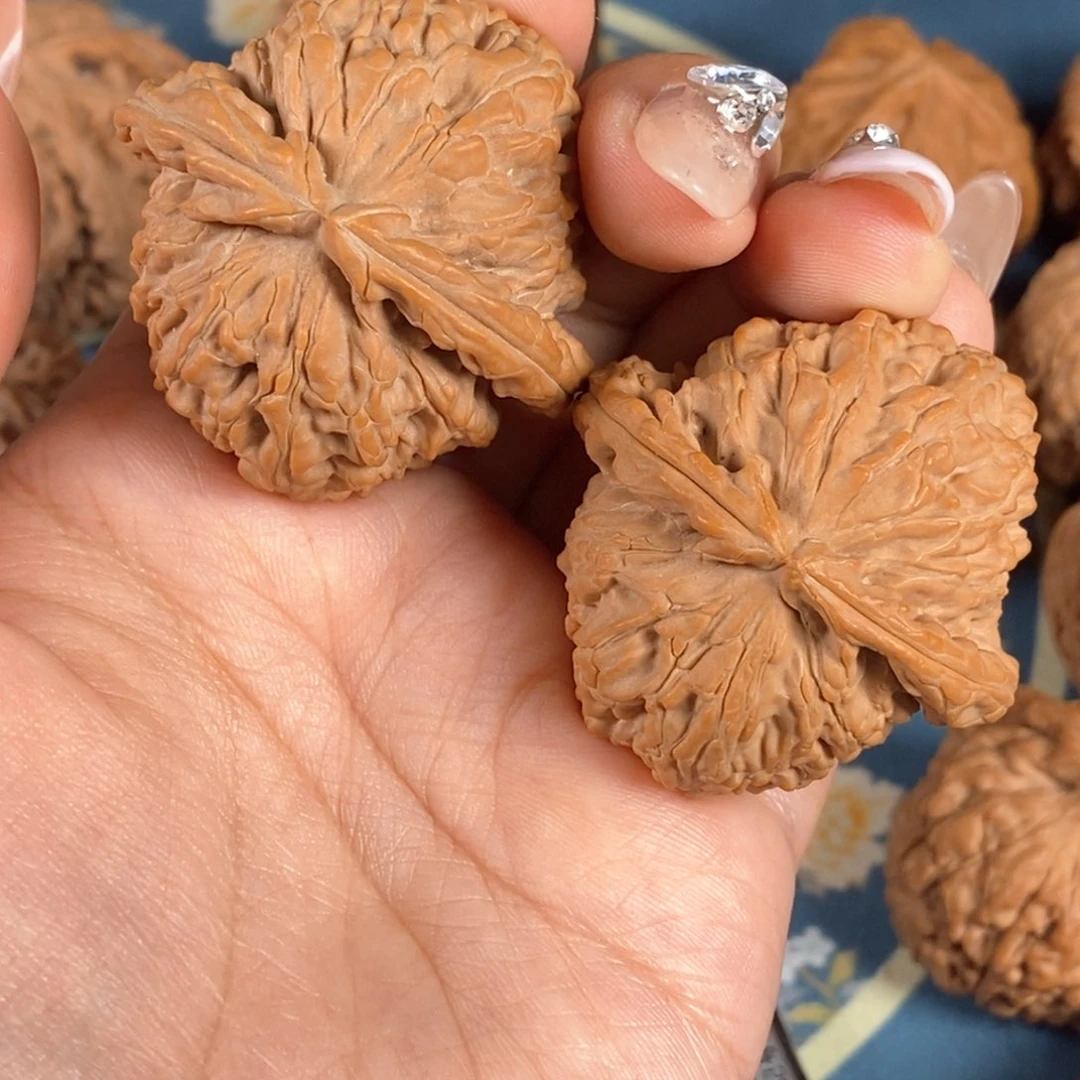 核桃文玩核桃白狮子