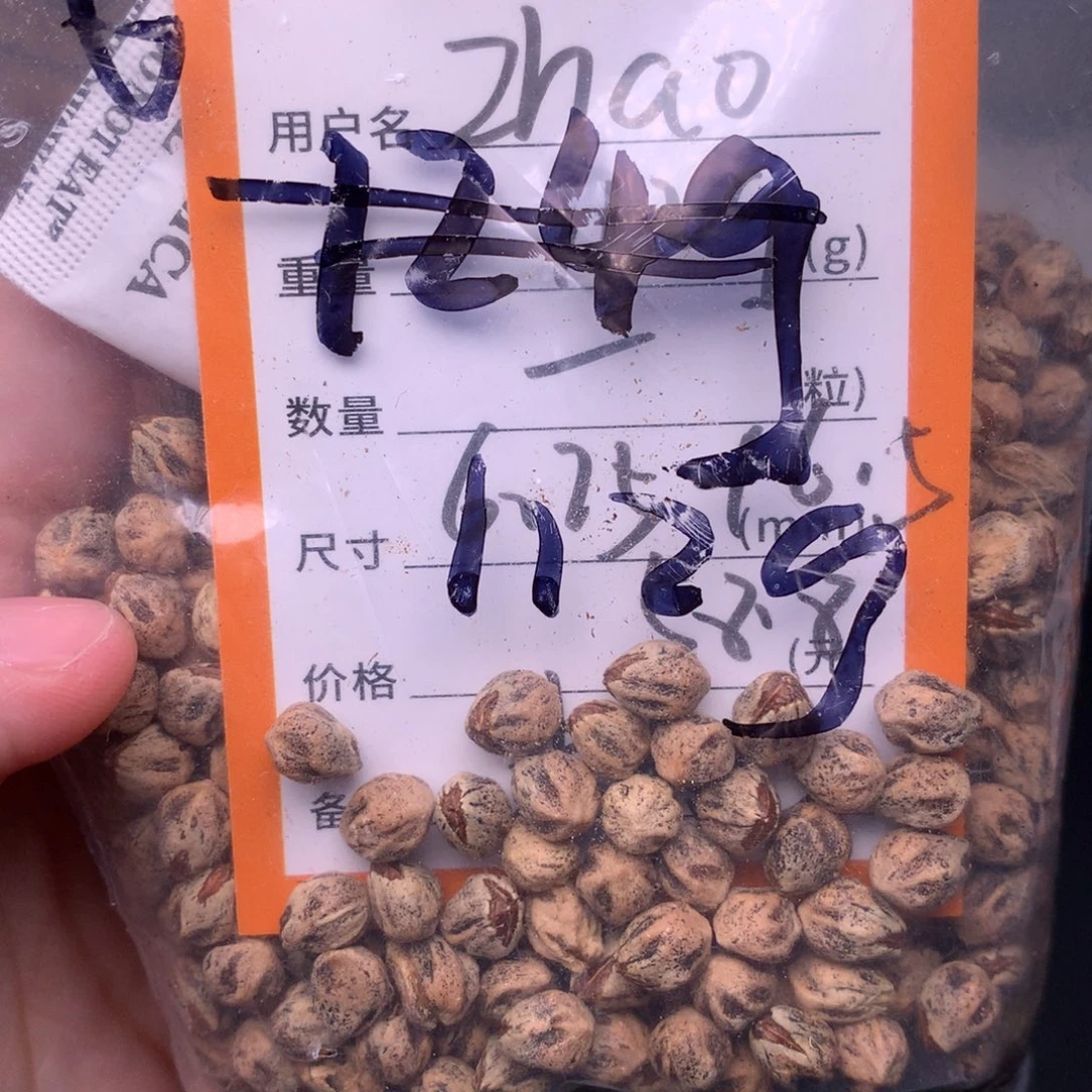 Z***o吊坠柏香籽/百香籽