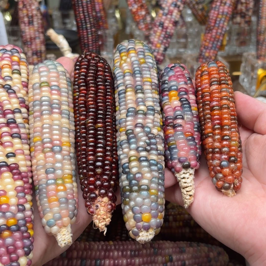 柏香籽/百香籽吊坠细**生