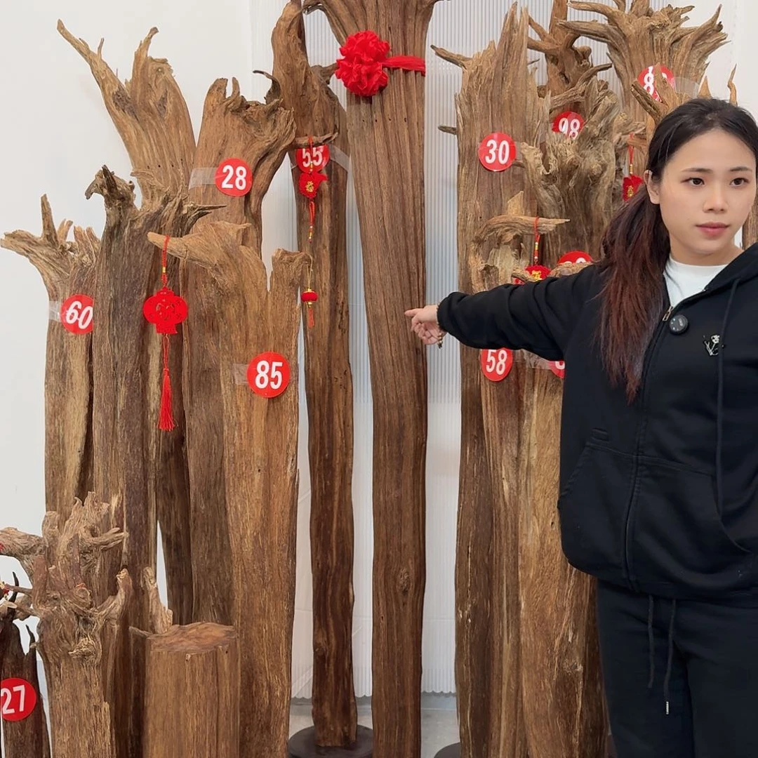 6***1沉香沉香碎屑原材料