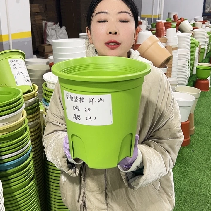 正品圆控口24高24果绿8只无托