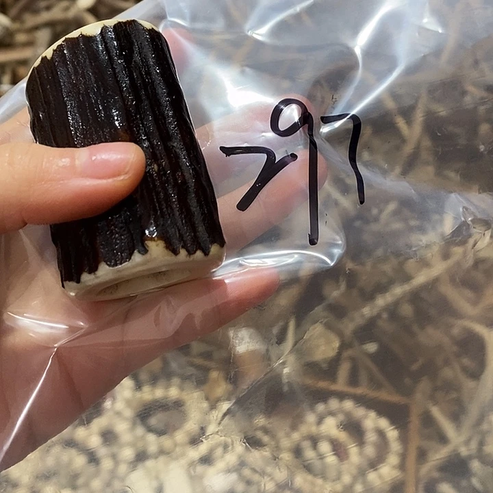 *****非金属鹿角鹿角鹿角