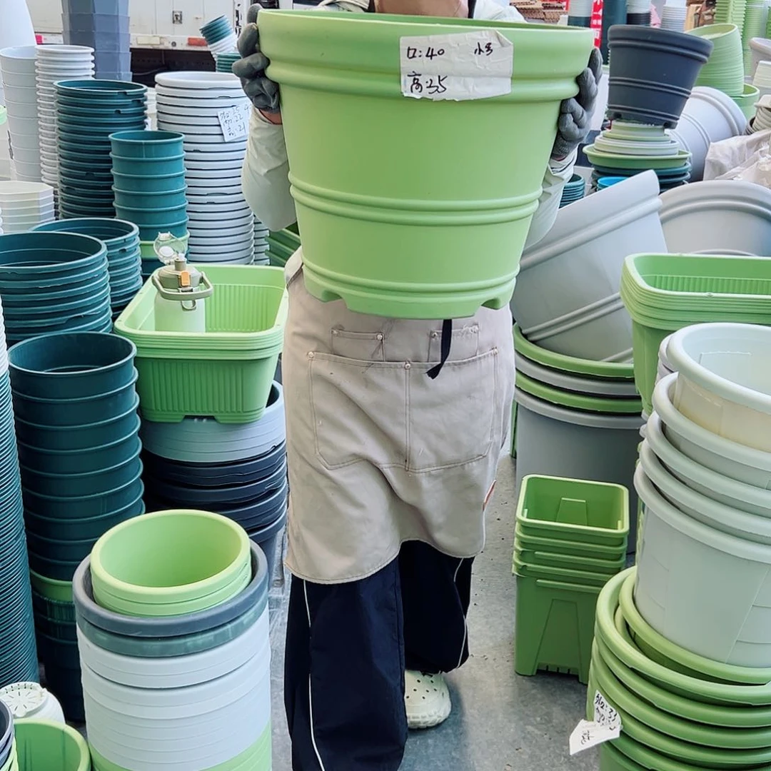 仿陶罗马小号果绿色3个无托