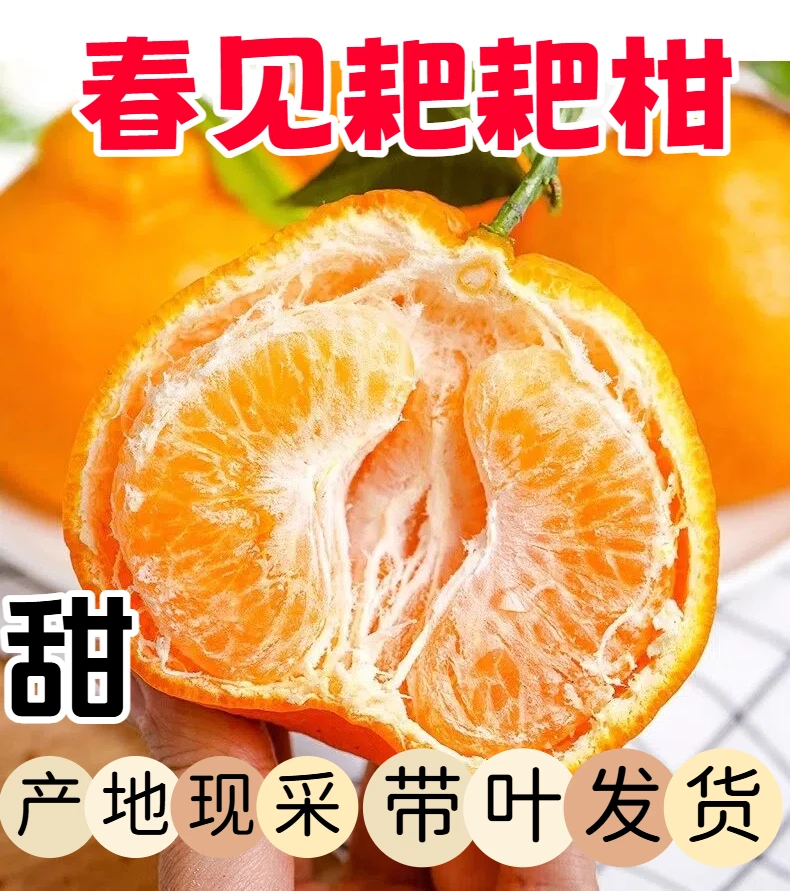 【正宗春见耙耙柑】春见耙耙柑眉山产地带叶发货柑橘桔子爆汁包甜