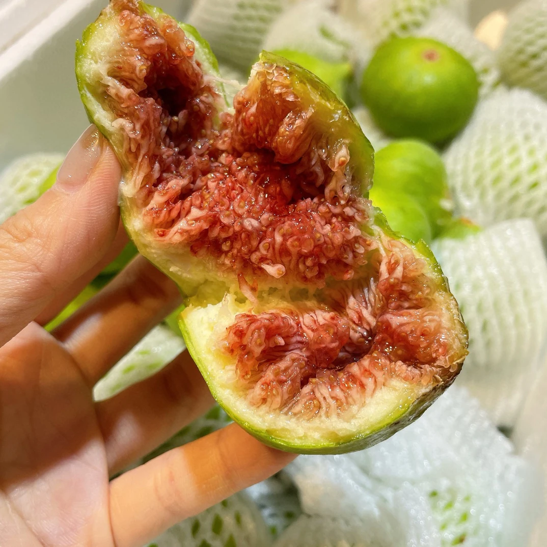绿皮无花果秋果，小果甜，1.5斤分装