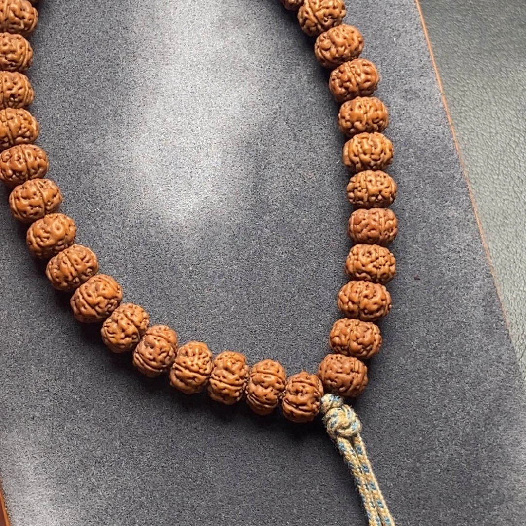 吊坠金刚菩提老树王