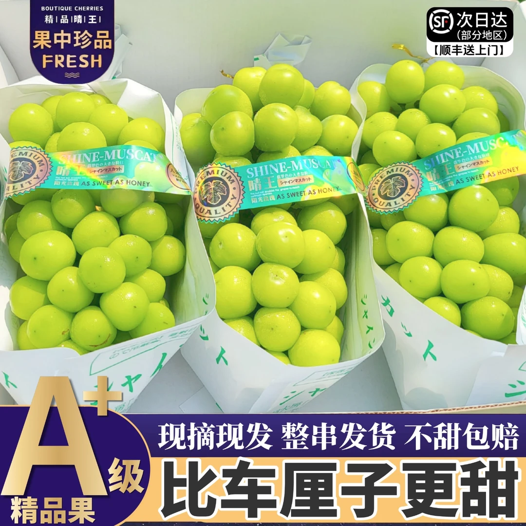 顺丰次日达5斤大果整箱精品阳光玫瑰葡萄当季新鲜现摘现发3/5斤Q