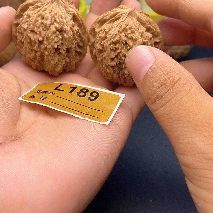 文玩核桃把件38尺137