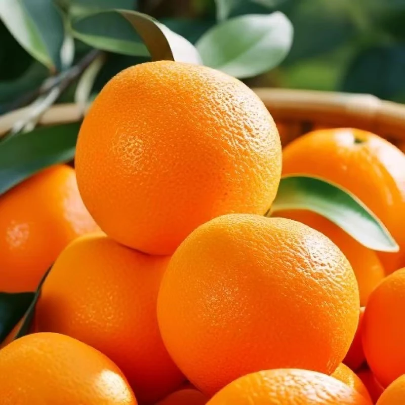 奉节脐橙带箱5斤单果65mm+