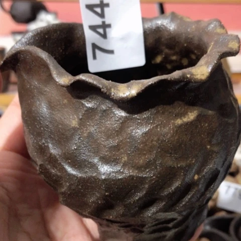 木有一点点的小姐姐