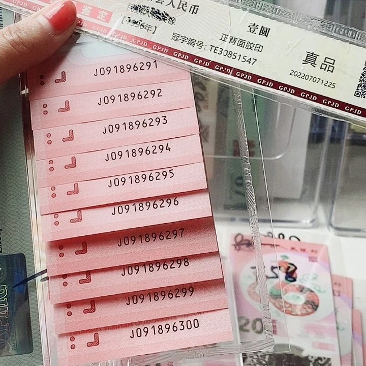 塑料蛇钞标十朦胧号5张091896291