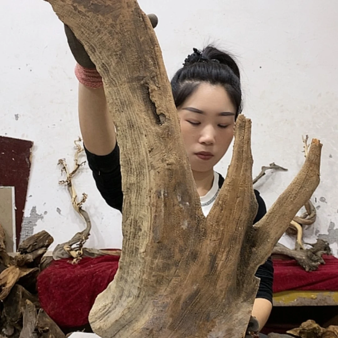 【闪购商品】柏木小*我们都是好孩子