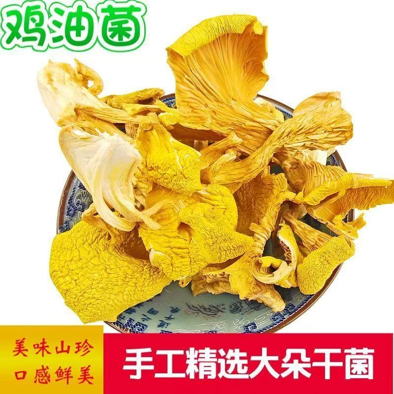 【敖会长】代收 鸡油菌 林下防野生种植