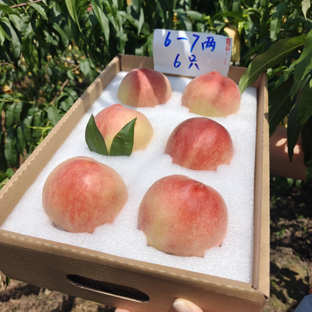 6-7两8只江苏白凤水蜜桃撕皮软甜爆汁桃子自然熟露天生长现摘现发