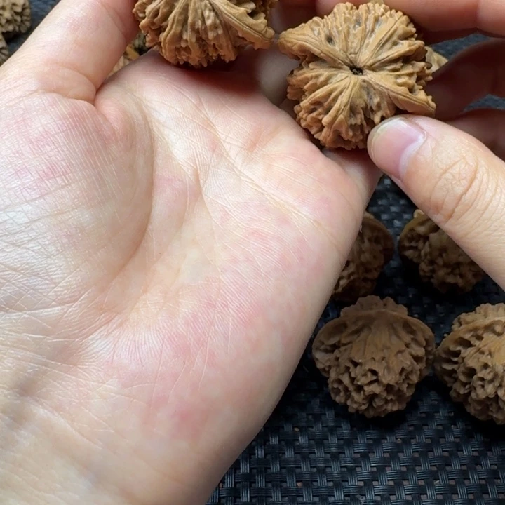 小***快40全品桃花源雪花狮子头
