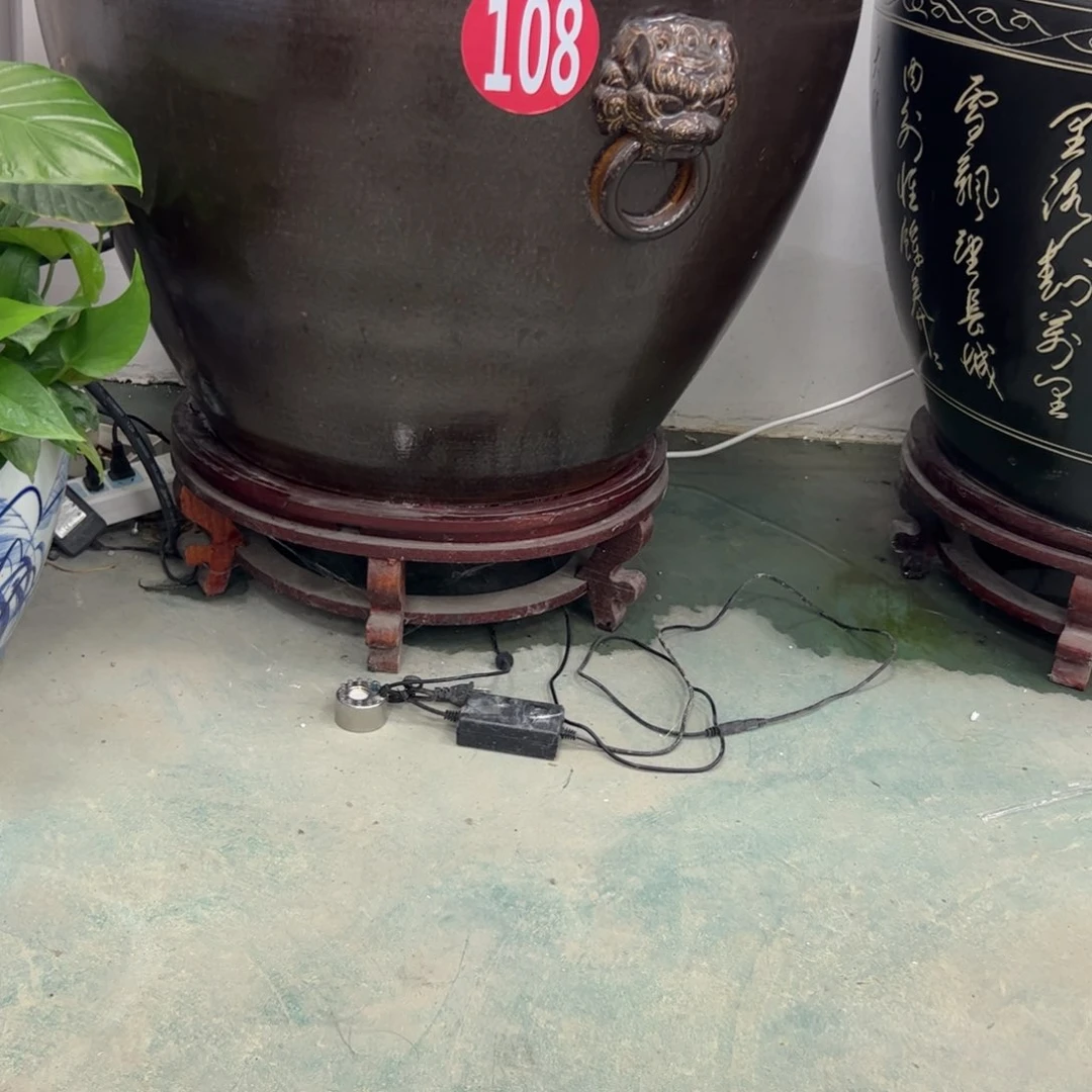 碟凤****?直径73缸加底座!