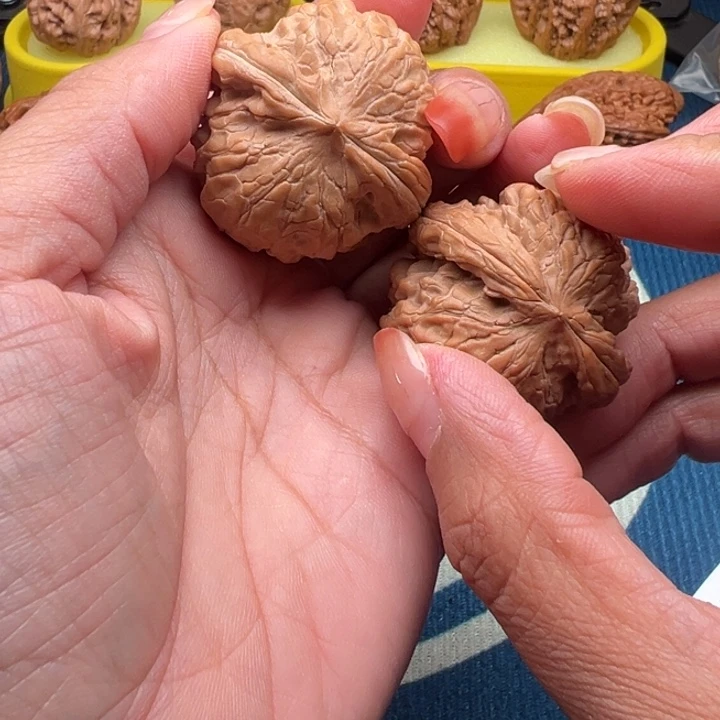 核桃文玩核桃核鼎