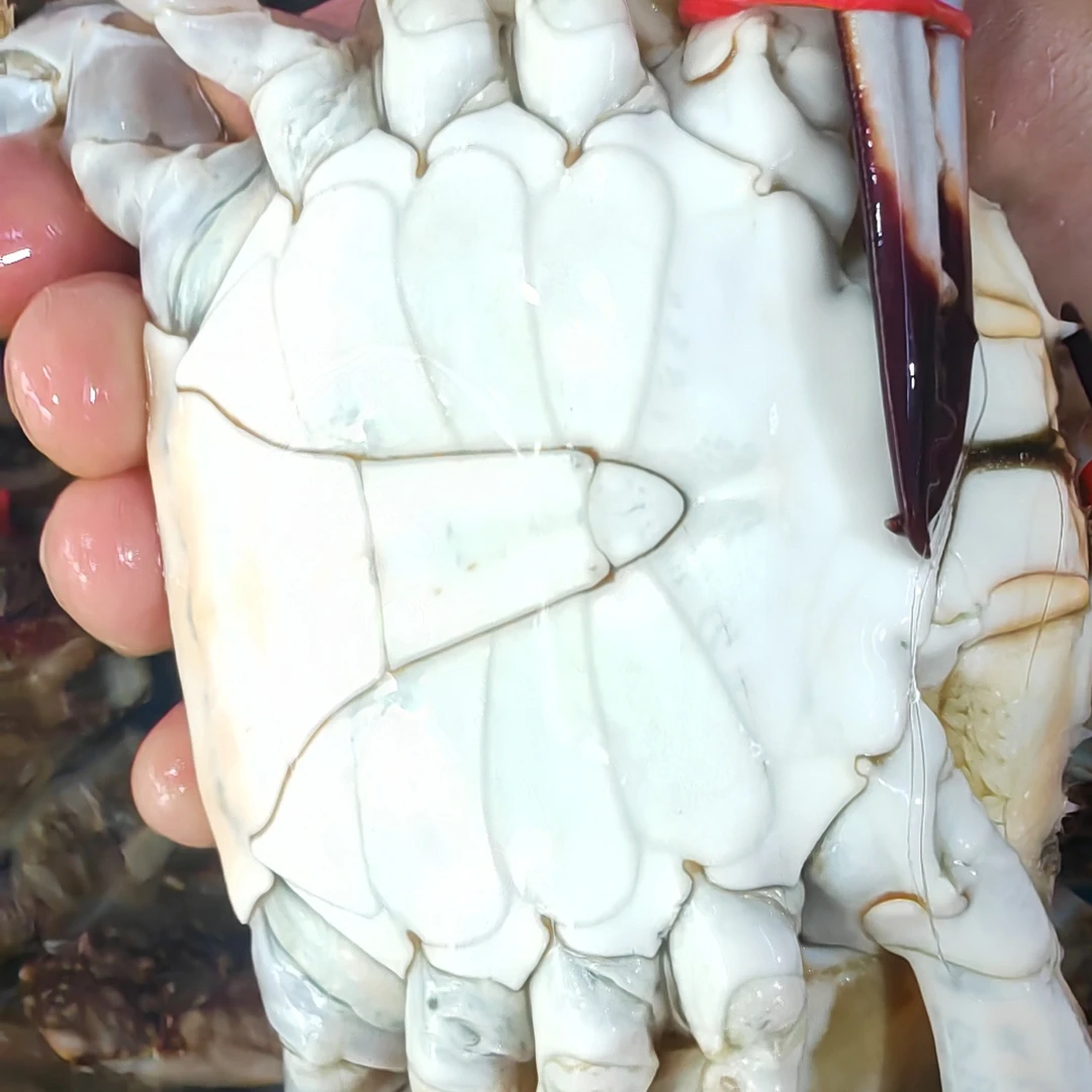 ［鲜活保鲜不保活］莱州湾公梭子蟹，单只规格4-5两吃肉的公蟹1000克/份（到手约4-5只）