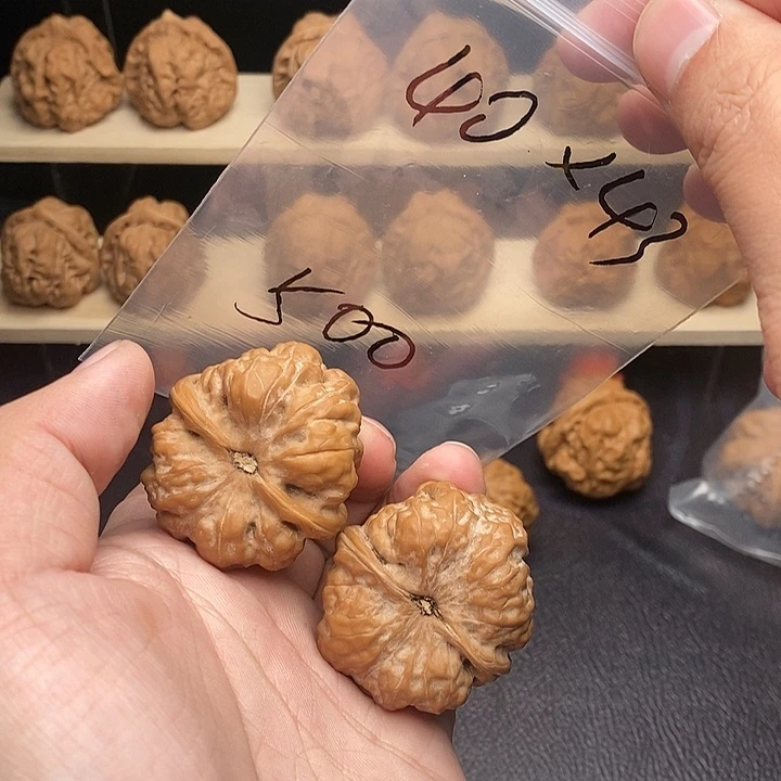 起***…核桃蛤蟆头40尺43肚