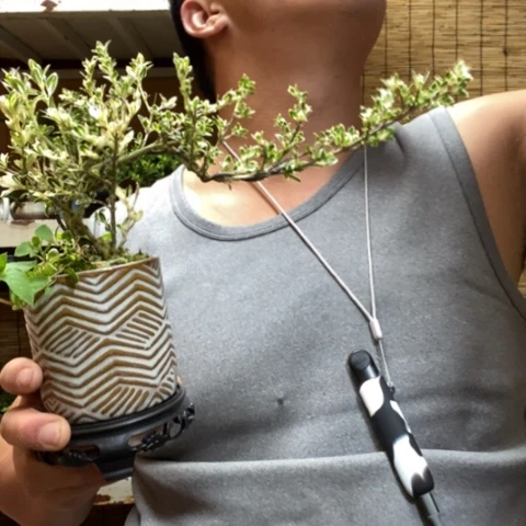 红陶一物一拍所见即所得164