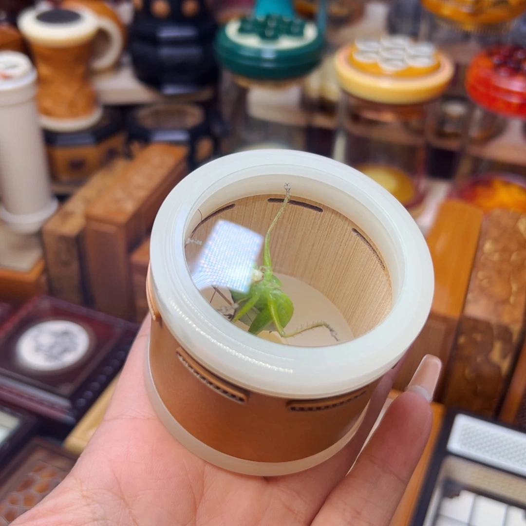 万体带郝建伟砸嘴