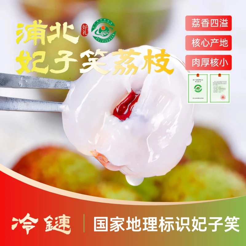 【浦北·妃子笑荔枝】老树妃子笑荔枝蜜香蜜甜肉厚多汁