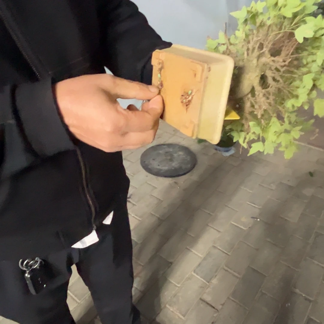 无花朵杂木盆景盆