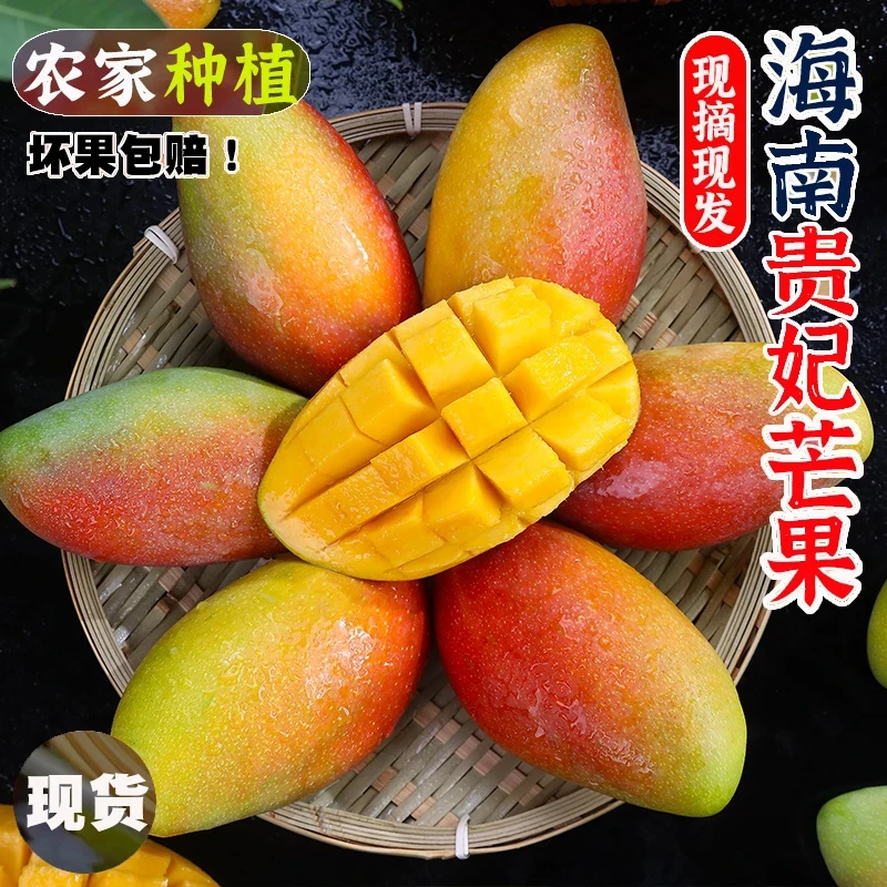 【放软食用】海南正宗贵妃芒带箱6斤新鲜现摘孕妇应季热带芒果P