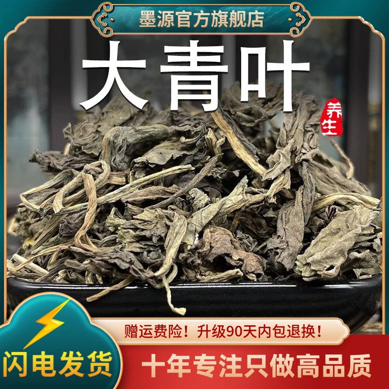 大青叶中药材新鲜大青叶茶板蓝根叶子菘蓝蓝菜叶干货可打大青叶粉