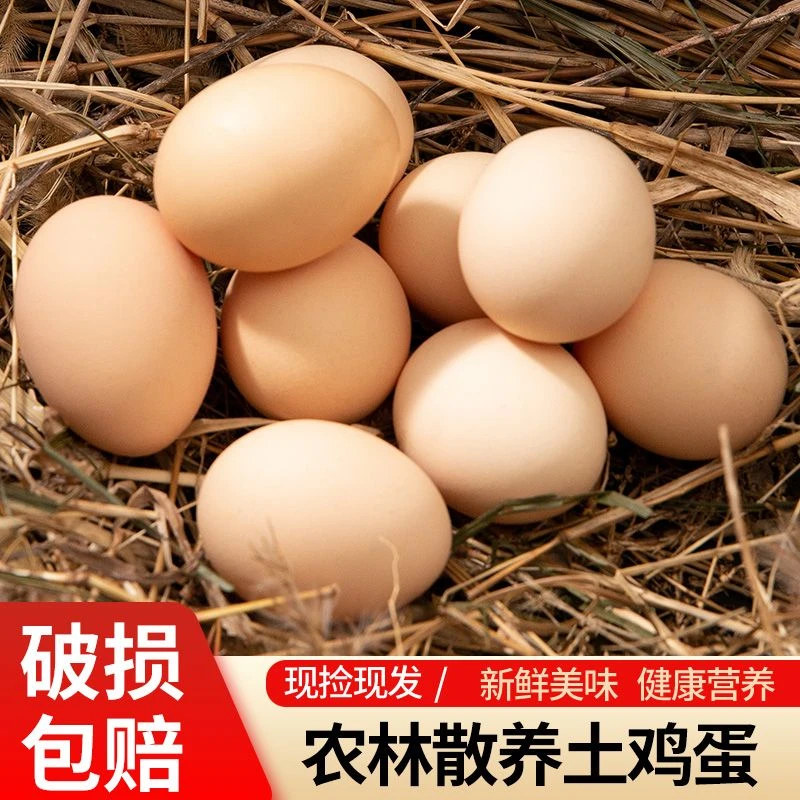 土鸡蛋正宗营养新鲜土鸡蛋笨鸡蛋农家谷物柴鸡蛋农家生态散养
