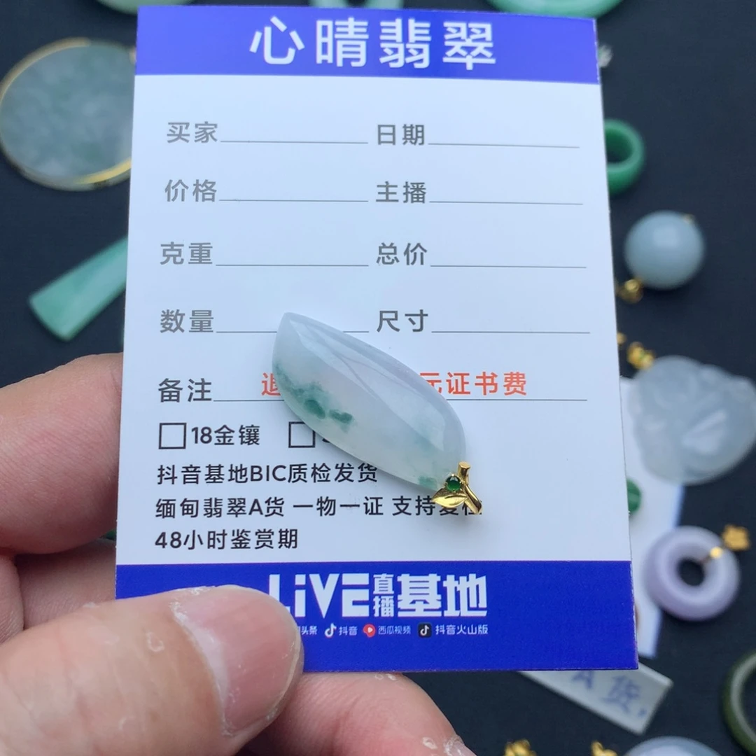 翡翠颈饰18K金镶嵌❀**❀随行